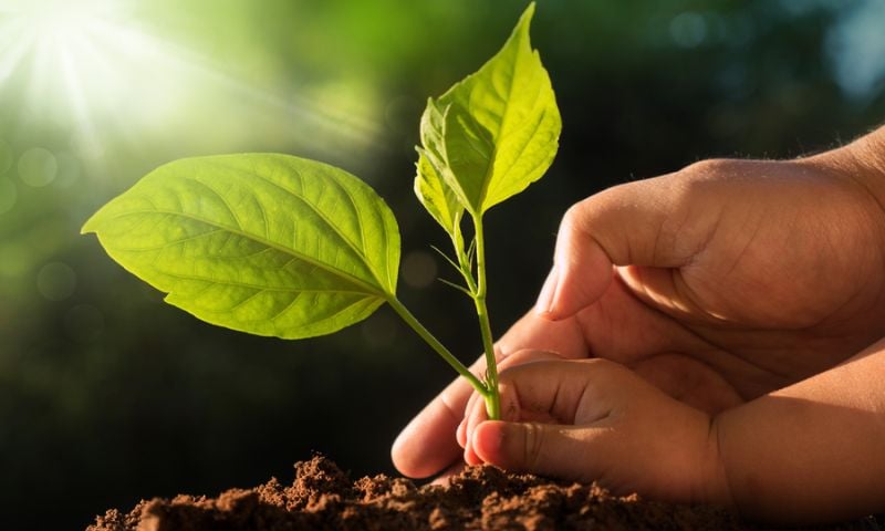 Earth, Day, Planet, Legacy, Action