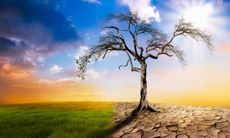 Earth, Day, Planet, Legacy, Action
