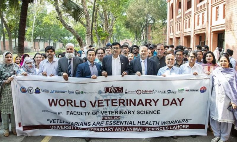 World Veterinary Day