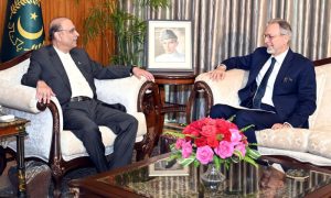 Pakistan, President, Asif Ali Zardari, Turkiye, relations, ties, cooperation, economy, trade, education, Recep Tayyip Erdoğan, ambassador, envoy, Cooperation