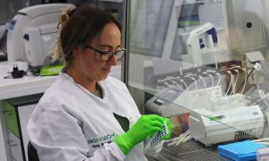 Liver Tumors, Cancer, Treatment, Study, Researchers, American Association for Cancer Research, San Diego, Nature Medicine, American, liver cancer
