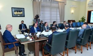 Prime Minister, Shehbaz Sharif, Pakistan, International Monetary Fund, IMF, government, 18th amendment