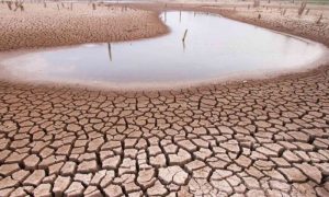 Vietnam, State of Emergency, Drought, Tien Giang, Media, Fresh Water, Tan Phu Dong, Ho Chi Minh City, Heatwaves, Climate Change, Rice, Fruit