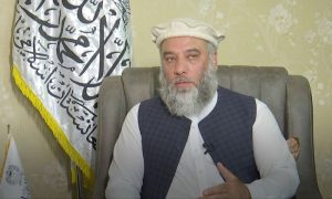 Afghanistan, Fruits, Pakistan, Commerce, South Asia, Gulf,