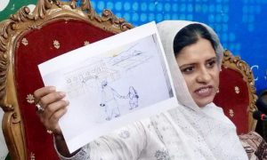Pakistani-American Woman, Pakistani, American, Woman, Justice, Prime Minister, Chief Justice of Pakistan, PM, CJ, Army Chief