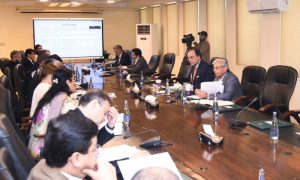 Economic, Cabinet, Muhammad Aurangzeb, Pakistan, Jam Kamal Khan, Rana Tanveer Hussain,