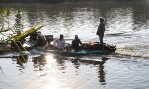 Egypt, Minibus, Female Farm Workers, Cairo, Nile, River, Health Minister,