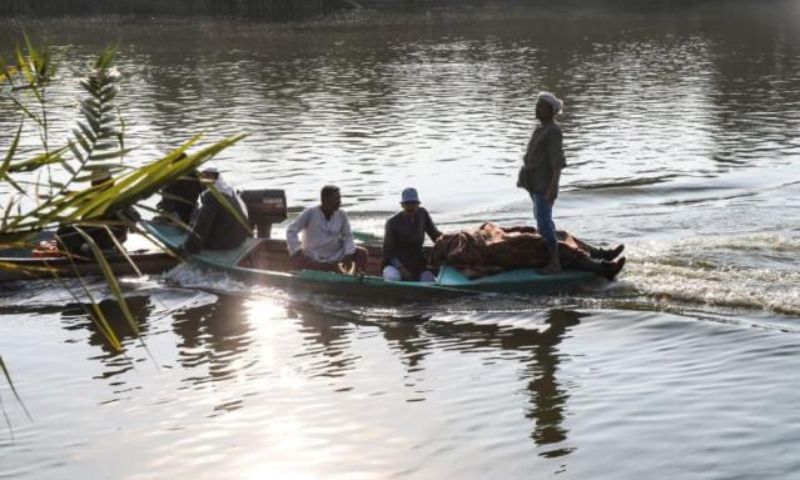 Egypt, Minibus, Female Farm Workers, Cairo, Nile, River, Health Minister,