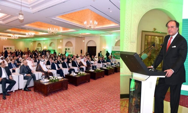 Foreign, Investment, Vital, Macro Economic Stability, Pakistan, Finance Minister, KSA, Saudi Arabia, PIA, Vision 2030.