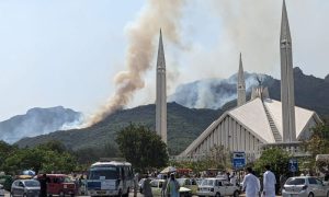 Margalla Hills National Park, Islamabad, Pakistan Air Force, Fire, Climate, CDA,