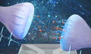Scientists Develop First Brain Computer Using Water and Salt
