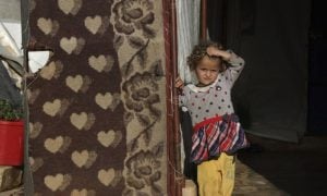 Syrian