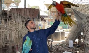 Zookeeper