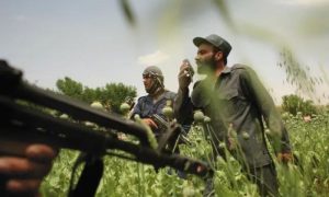 Afghanistan, Poppy Crop, Badakhshan, Argo, Taliban, Afghan Government, Farmers, Barlas, Village, Taliban Forces, Economic