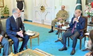 Prime Minister, Azerbaijan, Pakistan, COP-29, Climate, President, Baku,
