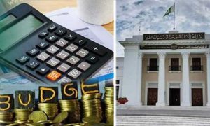 KP, Govt, Budget, 2024-25, Finance minister