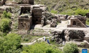 China, Pakistan, exchange relations, museums, heritage sites, Chen Zhigang, tourism,