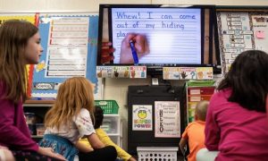 Teachers, Digital, educational, development, school, online, opportunities