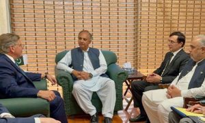 Ambassador, delegation, opposition party, Pakistan Tehreek-e-Insaf, PTI, United States Ambassador, Donald Blome, National Assembly, Omar Ayub Khan,