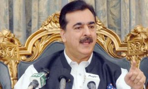 Pakistan’s Acting President, Syed Yusuf Raza Gilani, budget, political stability, Parliamentarians, Multan,