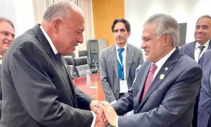 Pakistan, Egypt, ceasefire in Gaza, OIC Islamic Summit, Banjul, Gambia, Ishaq Dar, Sameh Hassan Shoukry