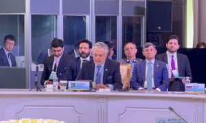 Pakistan, Deputy Prime Minister, Foreign Minister, Senator Ishaq Dar, SCO, Council of Foreign Ministers, President Dr. Ebrahim Raisi, Iranian President, SCO Charter,