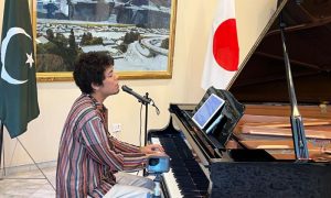 japani singer