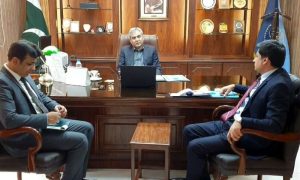 Interior Minister, Federal Investigation Agency, Lahore, government, crackdowns, electricity, Mohsin Naqvi