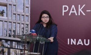 Shaza Fatima, Pakistan, Qatar, investment, Information Technology, Telecommunication, government