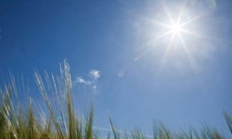 weather