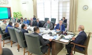 World Bank, WB, Vice President, South Asia, PM, Shahbaz Sharif, Reforms, Development, Agenda