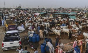 Eidul Azha