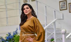 Fiza Ali, Marriage, Social Media, Instagram, Reel, Video, PTV Drama, Mehndi, YouTubers, TV Channels