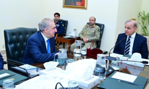 Pakistan’s Prime Minister, Shehbaz Sharif, reforms in energy sector, power losses, electricity tariffs, Georgian Prime Minister, Nika Gilauri,