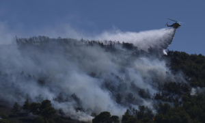 Greece, Athens, Wildfires, Prime Minister, Kyriakos Mitsotakis, Warmest winter, Firefighters, Attica, Heatwave, Wind, Stamata, Ritsona