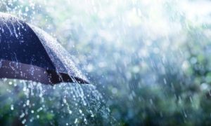 Monsoon