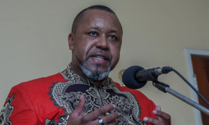Malawi, President, Missing, Aircraft, Search, Operation
