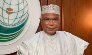 OIC Observers World Refugee Day