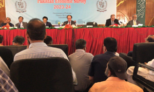 Economic Survey, Pakistan, Economy, Finance Minister, Budget, Tax, Agriculture, IMF,