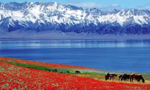 Pakistani Delegation Witnesses Socio Economic Development in Xinjiang