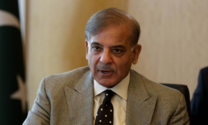 Minister Shehbaz, Shehbaz Sharif, Saudi Arabia, Joint Arab-Islamic Summit, Mumtaz Zahra Baloch, Middle East, Gaza, Palestine,