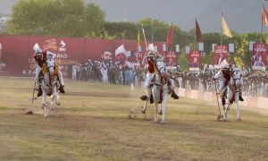 Tent Pegging