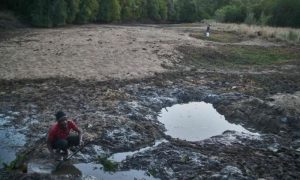 UN, Forecasts, La Nina, Help, Lower, Temperature, 2024