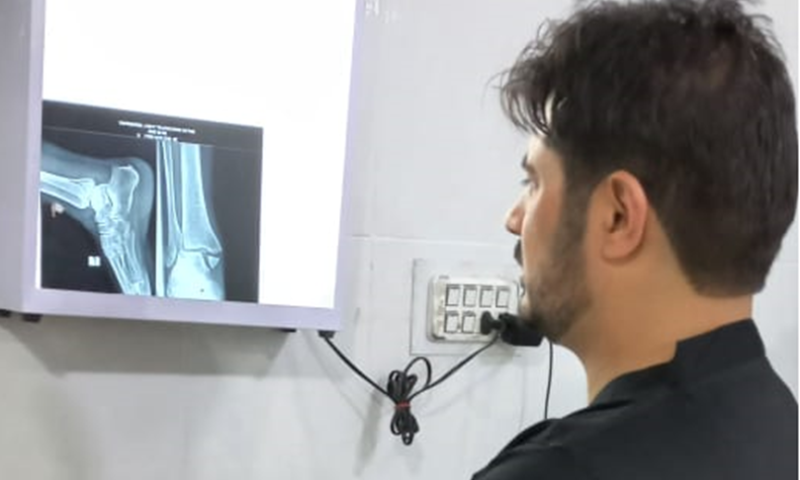 Why are Pakistani Doctors Leaving Pakistan 3