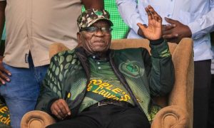 Jacob Zuma, uMkhonto we Sizwe Party, general elections, MK Party, KwaZulu Natal, ANC,