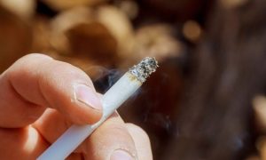 Budget, Smuggled Cigarettes, National Assembly, Prime Minister