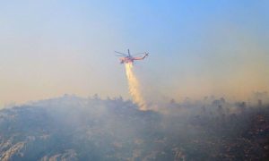 Athens, Greece, Wildfire, Season, Wind, Wildfire Season, Fire Department