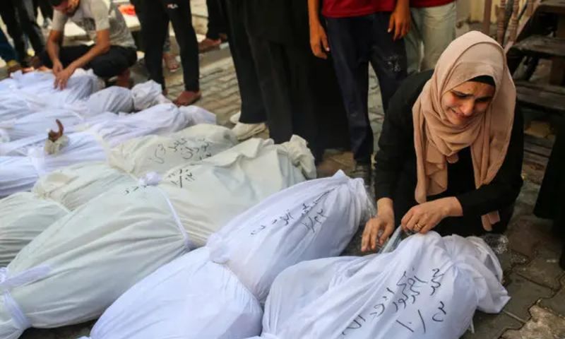 Gaza, Israeli Attacks, Palestinian, Health Ministry, Rafah, UN Security Council, Genocide, International Court of Justice, ICJ