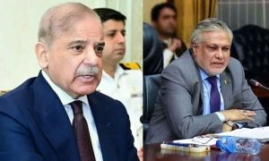 Pakistan, non-permanent member, United Nations Security Council, UNSC, Prime Minister Shehbaz Sharif, Ishaq Dar,