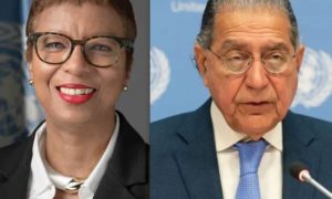 Ambassador Inga Rhonda, Pakistan, Saint Vincent and Grenadines, ties, relations, Caribbean, Ambassador, United Nations